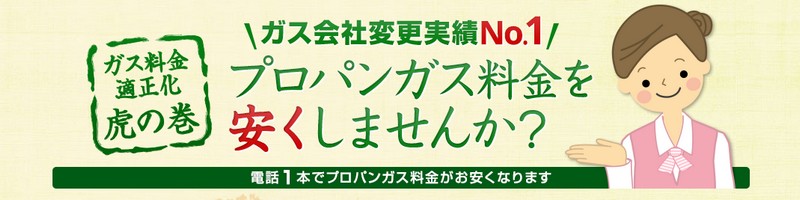 �K�X���̑������T�C�g